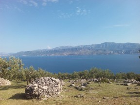 Ecology [4]